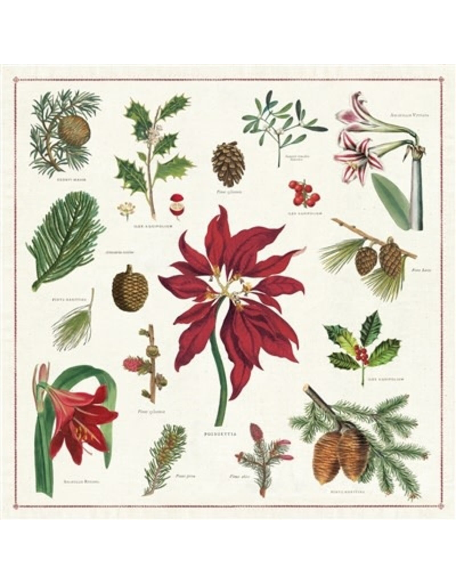 Cavallini Papers & Co. Christmas Botanica Vintage Napkins Set-4