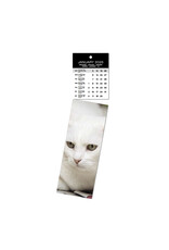 Allaluna 2025 Michelangelo Bookmark Calendar