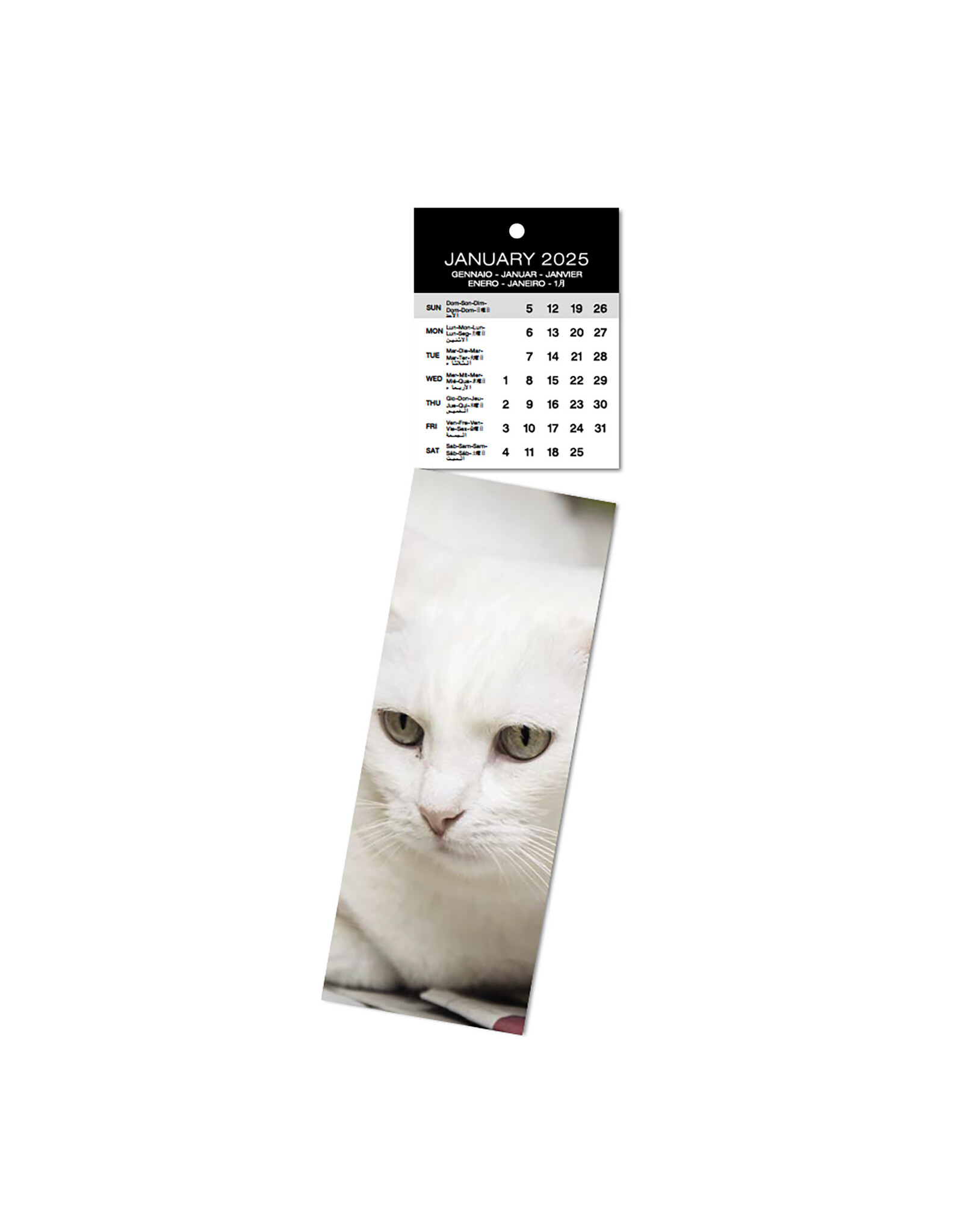 Allaluna 2025 Michelangelo Bookmark Calendar