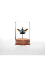 Blue Carpenter Bee Globe