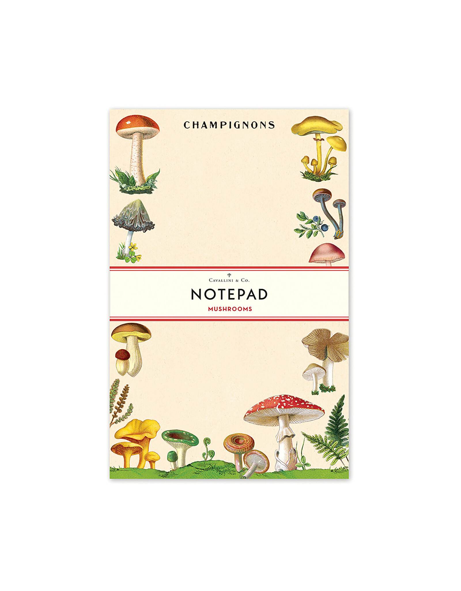 Cavallini Papers & Co. Mushrooms Notepad