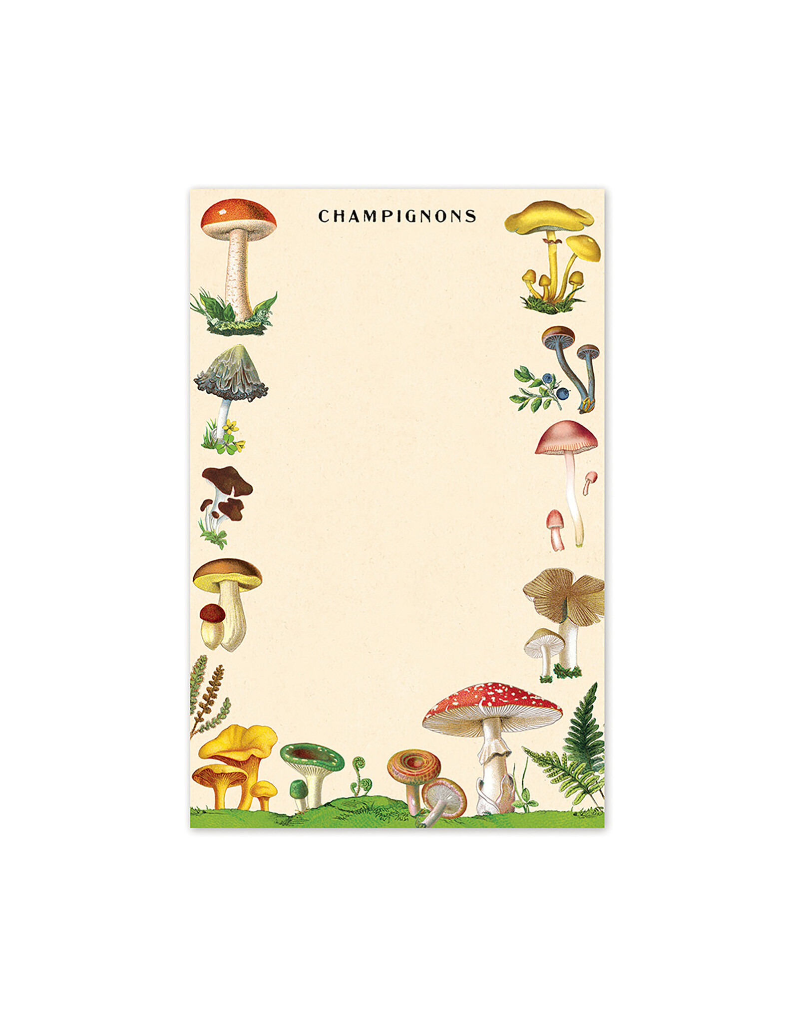 Cavallini Papers & Co. Mushrooms Notepad