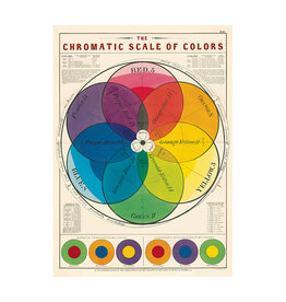 Cavallini Papers & Co. Wrap Chromatic Scale of Colors