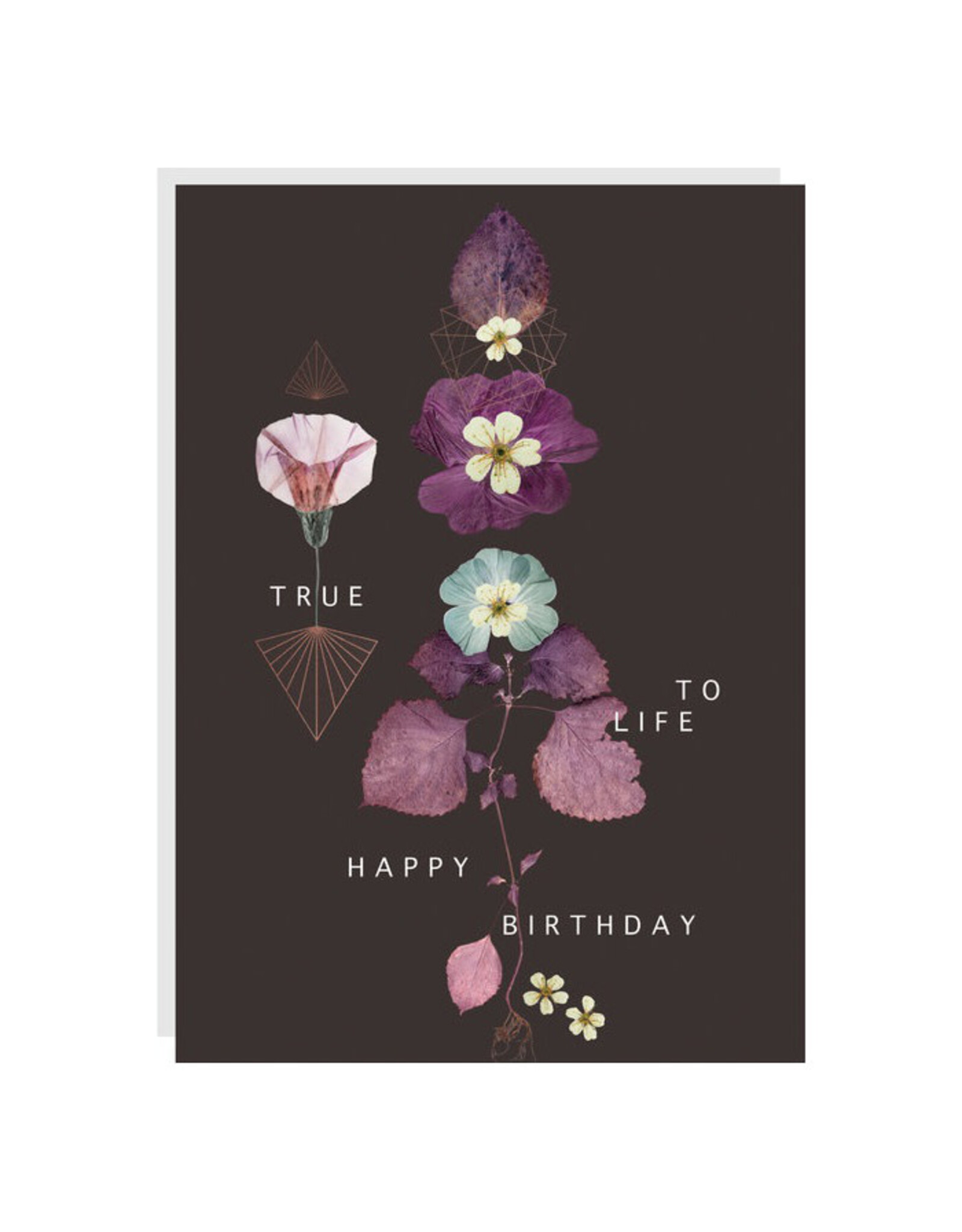 Fireweed True to Life Birthday Greeting Card