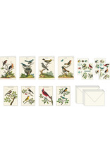 Cavallini Papers & Co. Birds Stationery Set