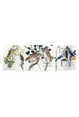 Field Notes Brand Birds & Trees of North America Pack A Screech Owl Blue Jay Brewer Sparrow Fall 2024 Quarterly Edition