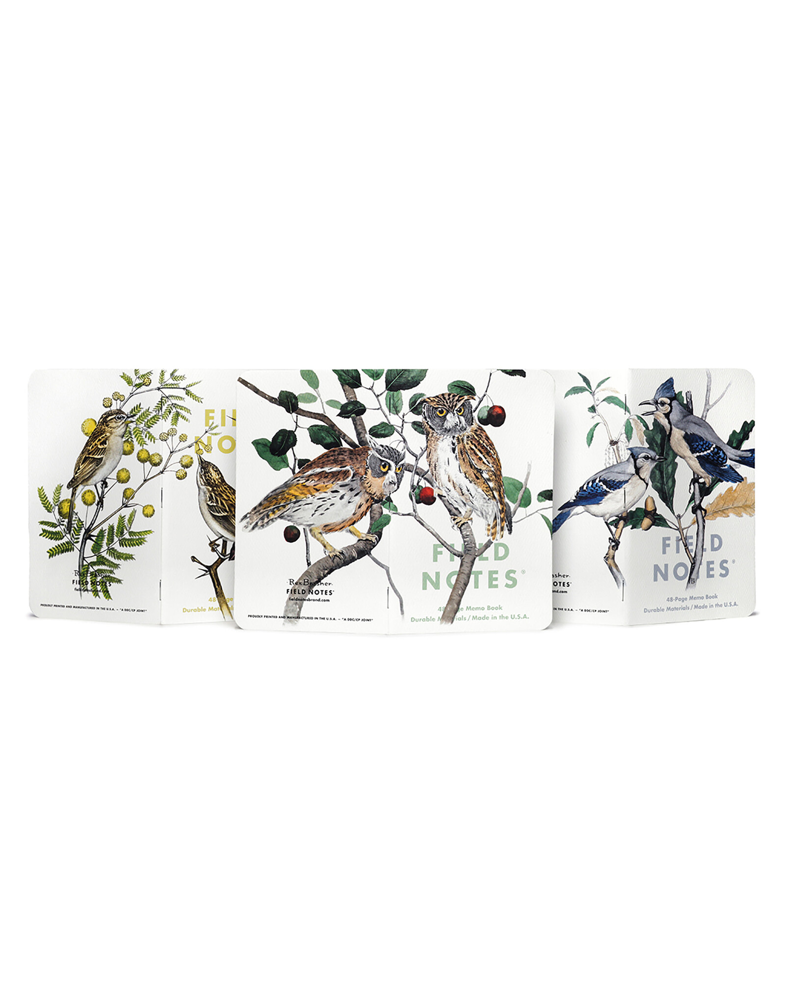 Field Notes Brand Birds & Trees of North America Pack A Screech Owl Blue Jay Brewer Sparrow Fall 2024 Quarterly Edition