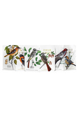 Field Notes Brand Birds & Trees of North America Pack B Pine Gosbeak Baltimore Oriole Sulphurbelly Flycatcher Fall 2024 Quarterly Edition