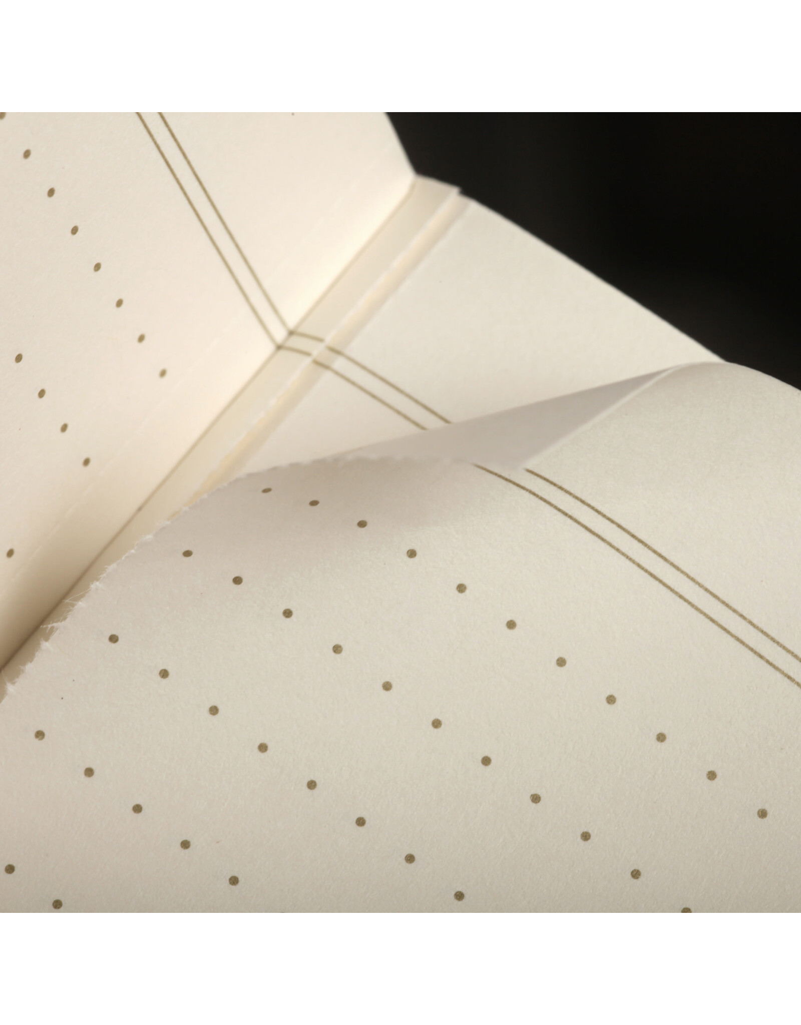 Field Notes Brand Vintage Winter 2024 Quarterly Edition 3-Pack Dot-Ruled Memo Books