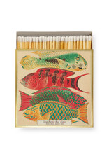 Archivist Gallery Natural History Museum Fish Matchbox