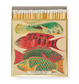 Archivist Gallery Natural History Museum Fish Matchbox