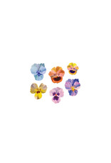 Tattly Pansies Tattoo Pair