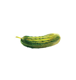 Tattly Pickle Tattoo Pair