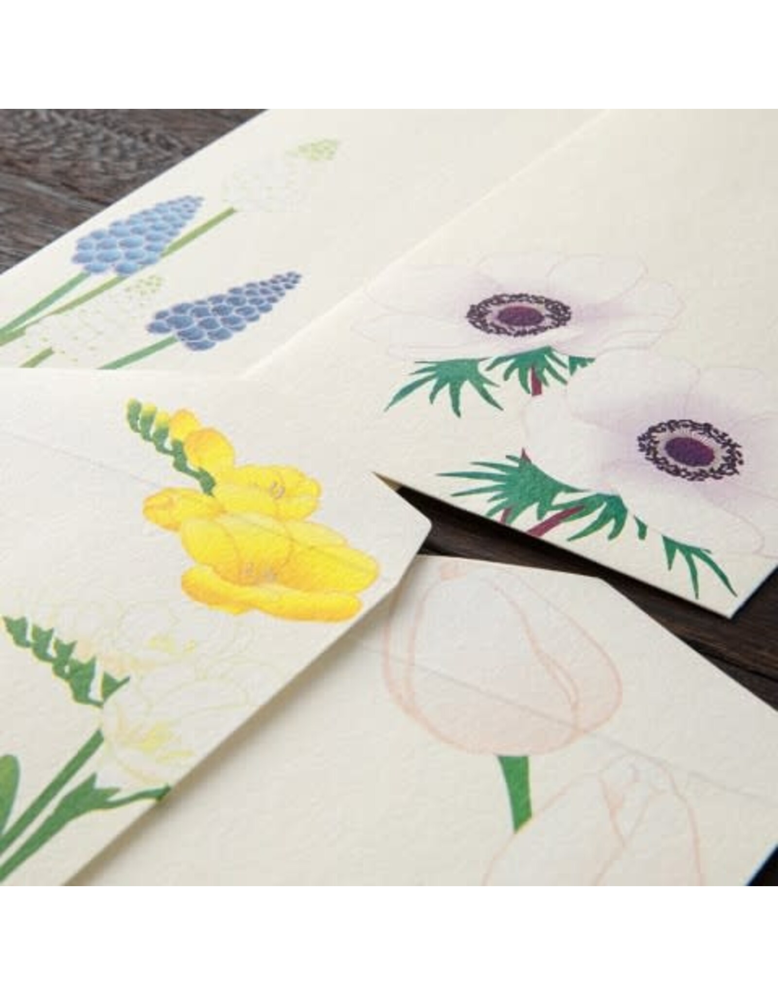 Midori Spring Flower White Four Designs Envelope 158