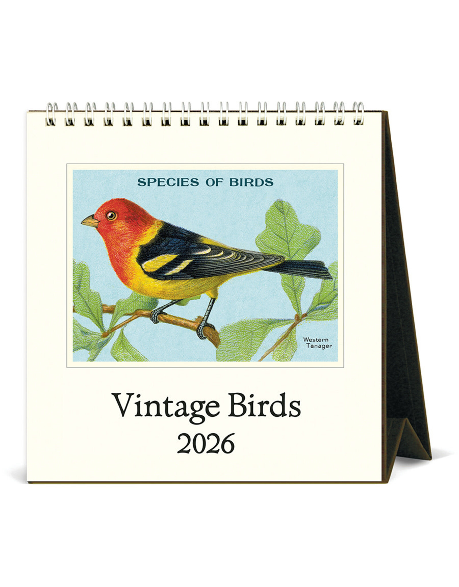 Cavallini Papers & Co. 2026 Desk Calendar Birds