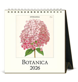 Cavallini Papers & Co. 2026 Desk Calendar Botanica