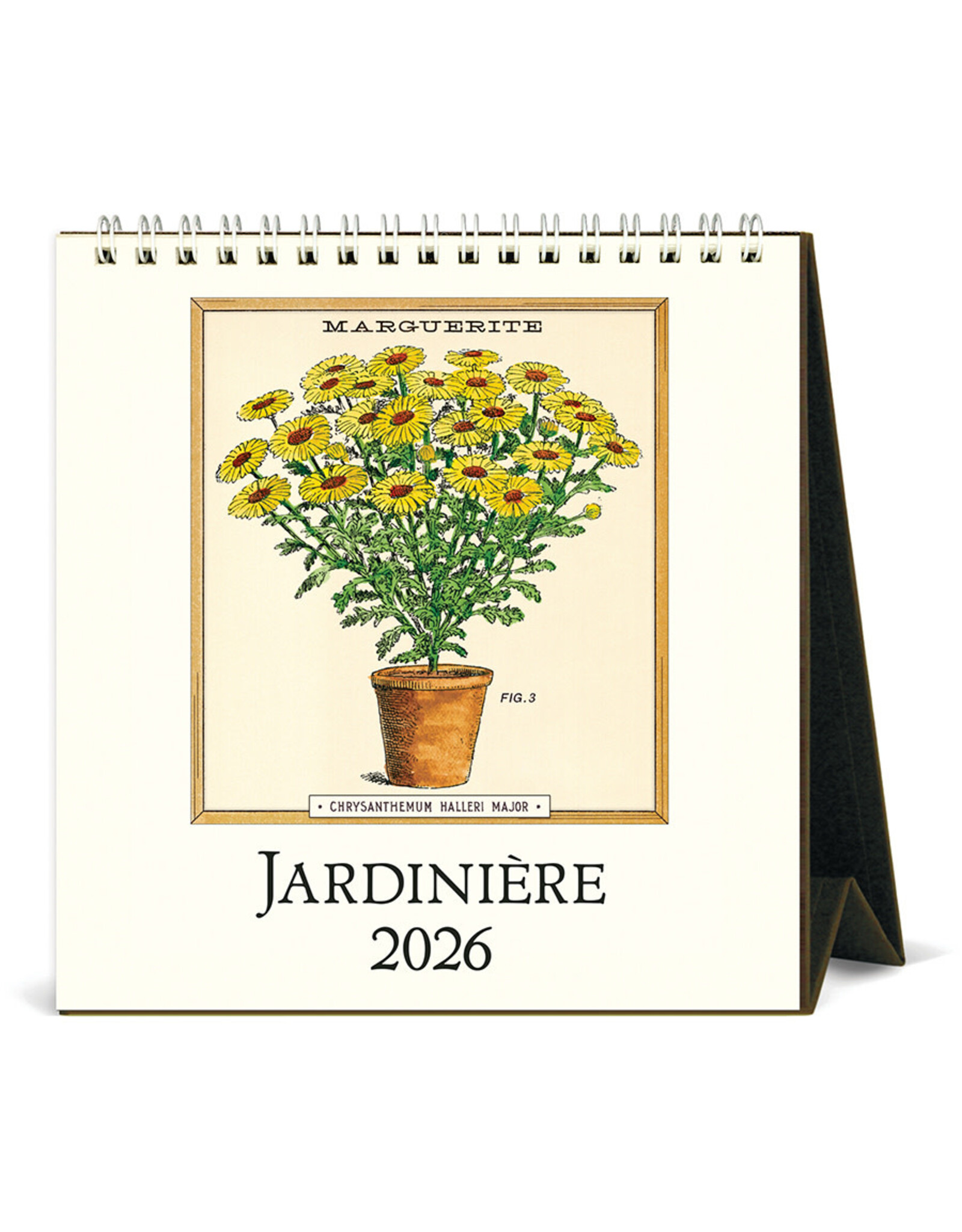 Cavallini Papers & Co. 2026 Desk Calendar Jardiniere