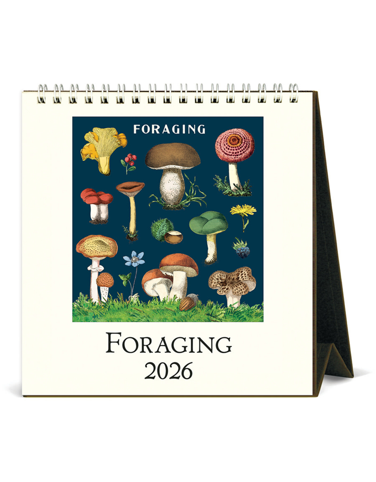 Cavallini Papers & Co. 2026 Desk Calendar Foraging