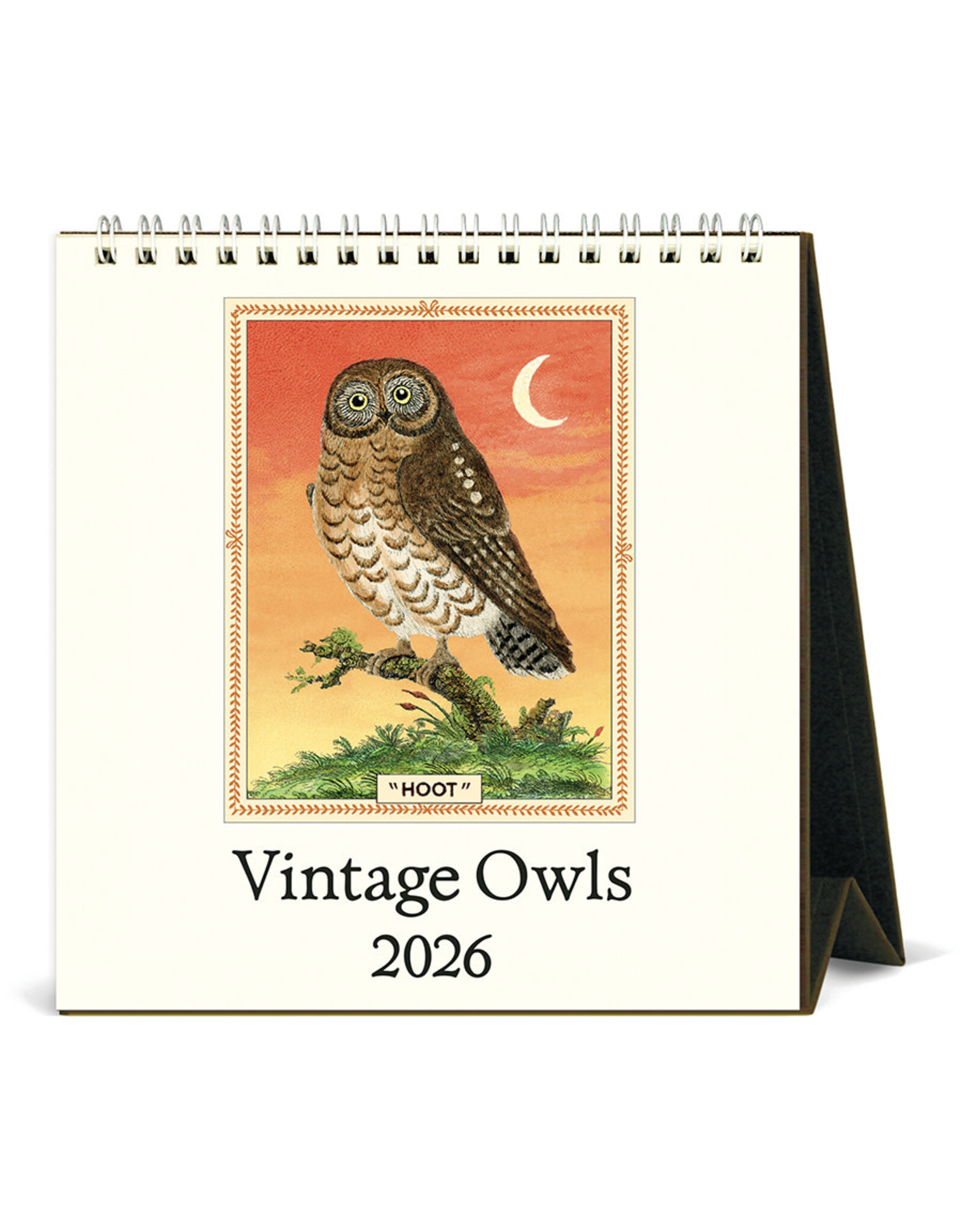 Cavallini Papers & Co. 2026 Desk Calendar Owls
