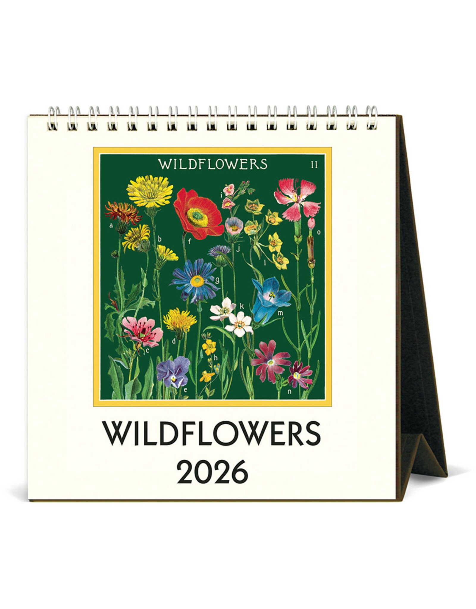 Cavallini Papers & Co. 2026 Desk Calendar Wildflowers