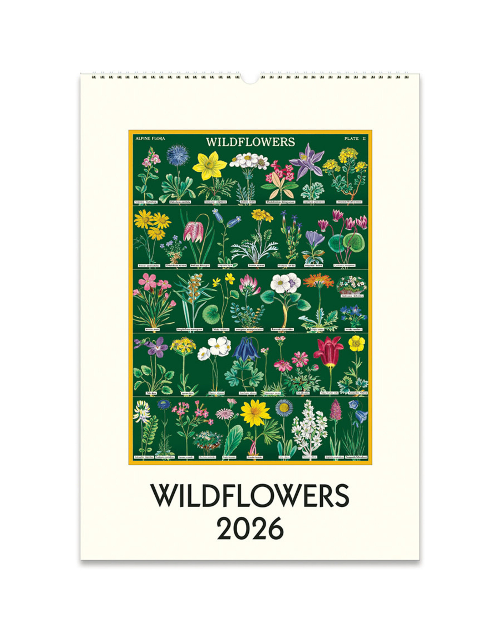 Cavallini Papers & Co. 2026 Wall Calendar Wildflowers