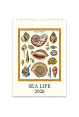Cavallini Papers & Co. 2026 Wall Calendar Sea Life