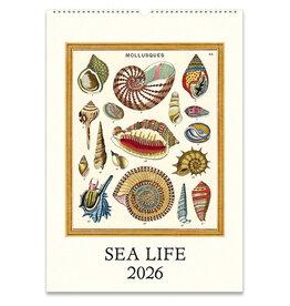 Cavallini Papers & Co. 2026 Wall Calendar Sea Life