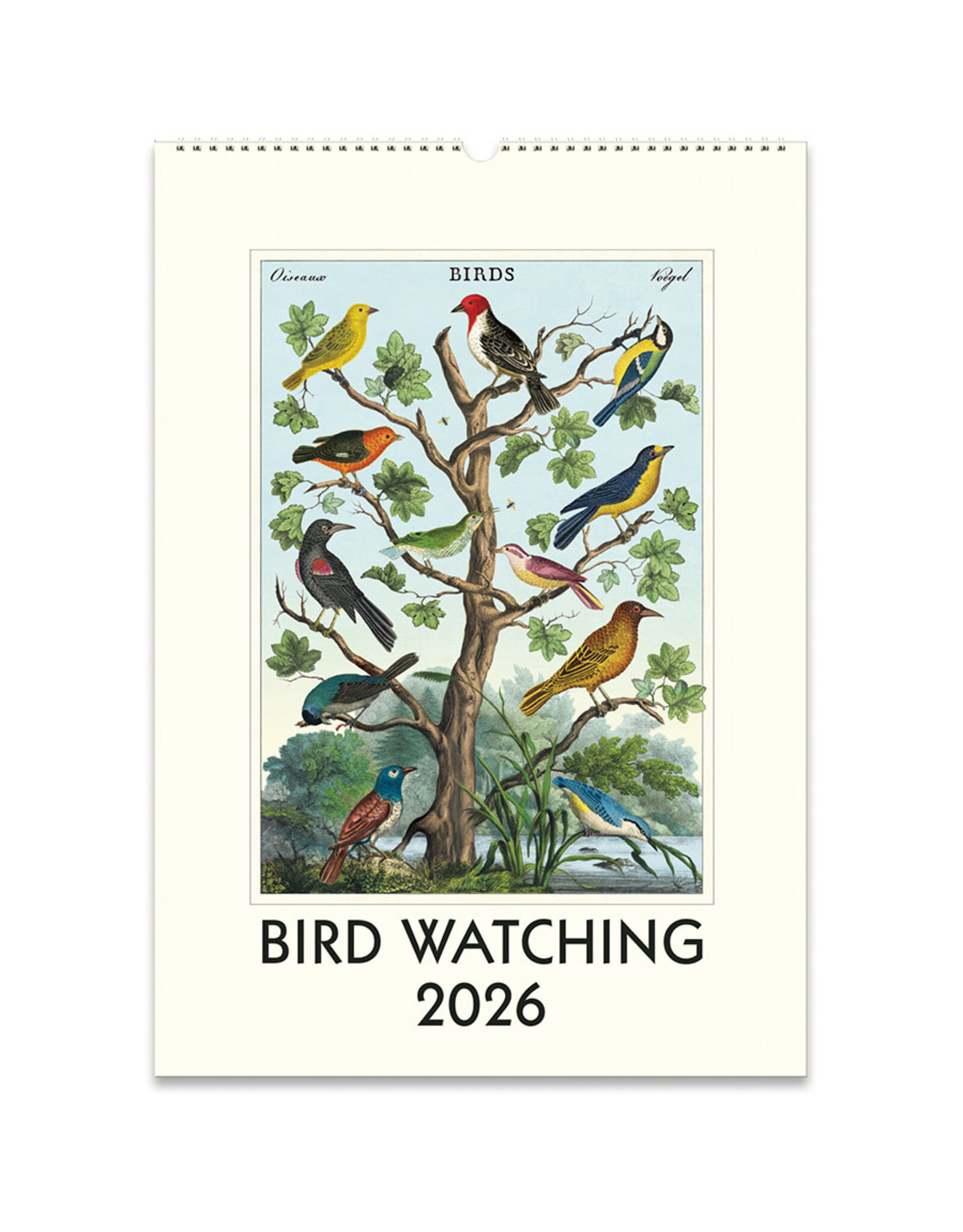 Cavallini Papers & Co. 2026 Wall Calendar Bird Watching