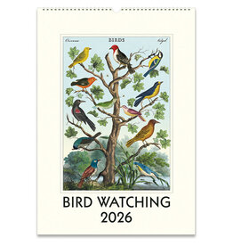 Cavallini Papers & Co. 2026 Wall Calendar Bird Watching