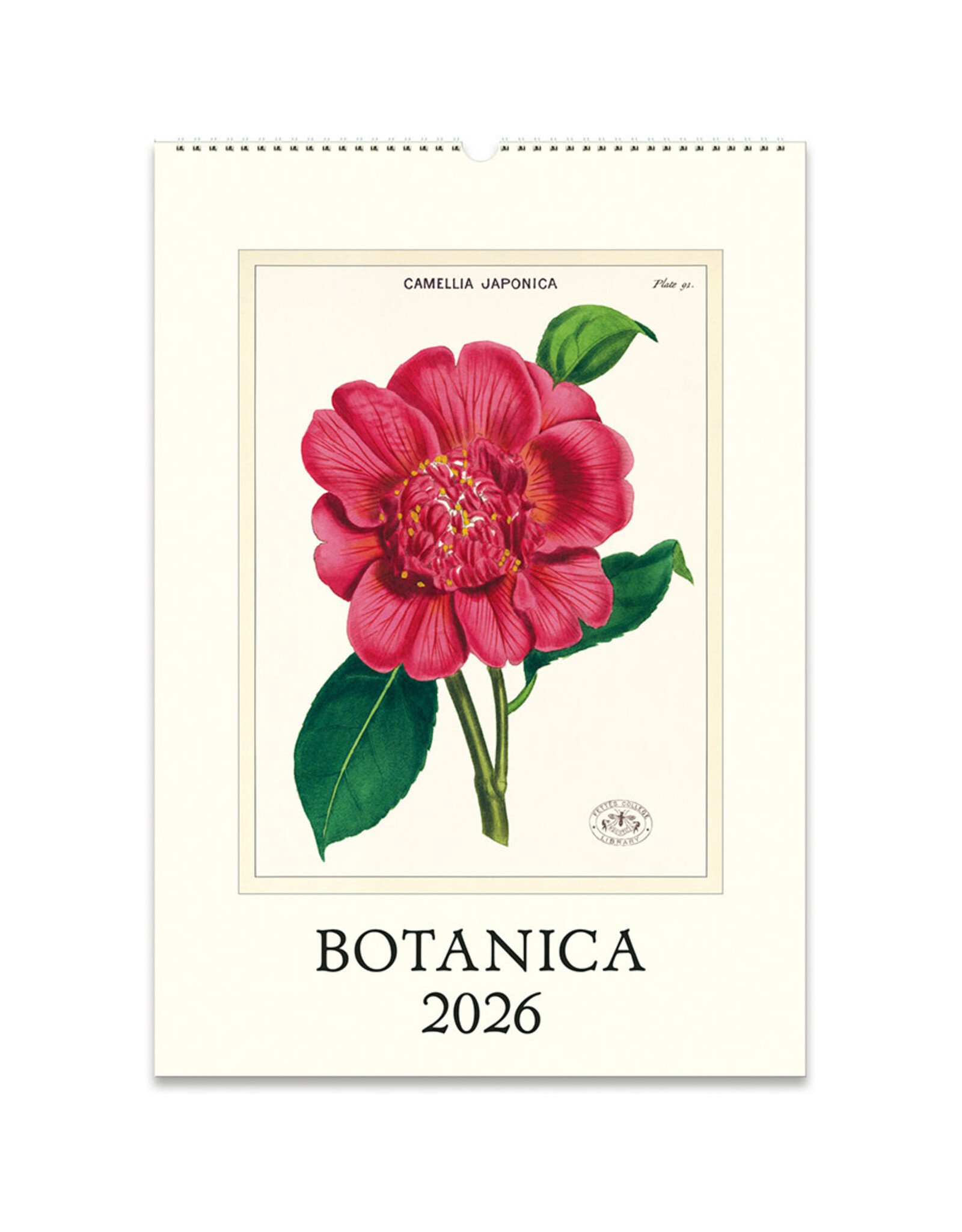 Cavallini Papers & Co. 2026 Wall Calendar Botanica