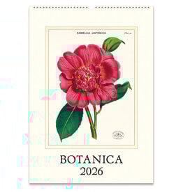 Cavallini Papers & Co. 2026 Wall Calendar Botanica