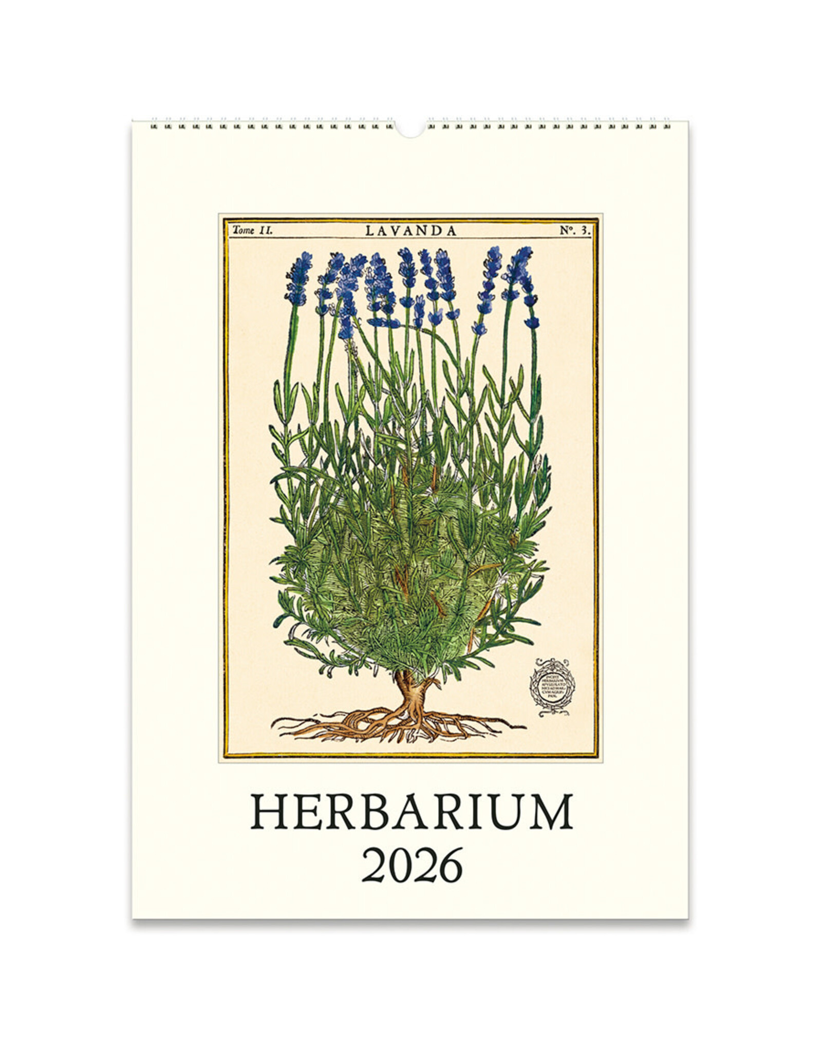 Cavallini Papers & Co. 2026 Wall Calendar Herbarium