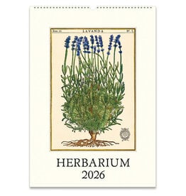Cavallini Papers & Co. 2026 Wall Calendar Herbarium