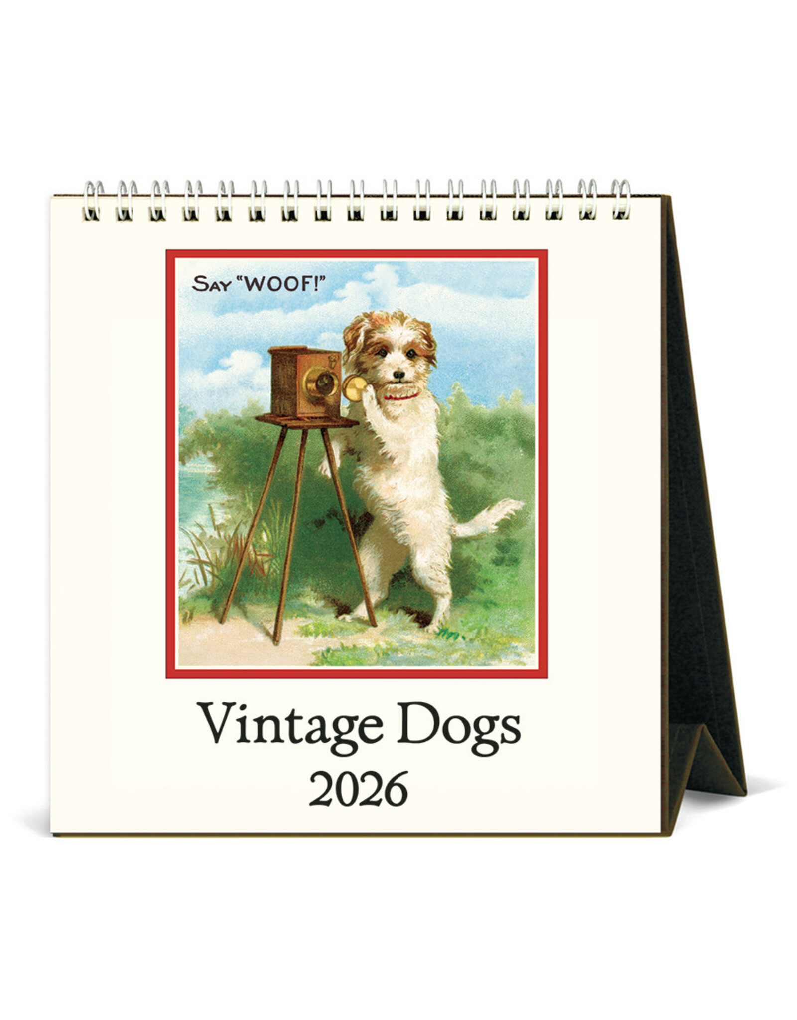Cavallini Papers & Co. 2026 Desk Calendar Dogs