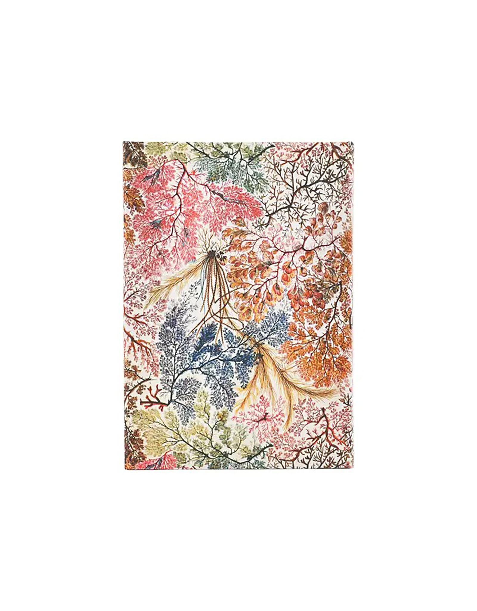 Paperblanks 2026 Anemone 12-Month Hardcover Weekly Planner Midi Vertical