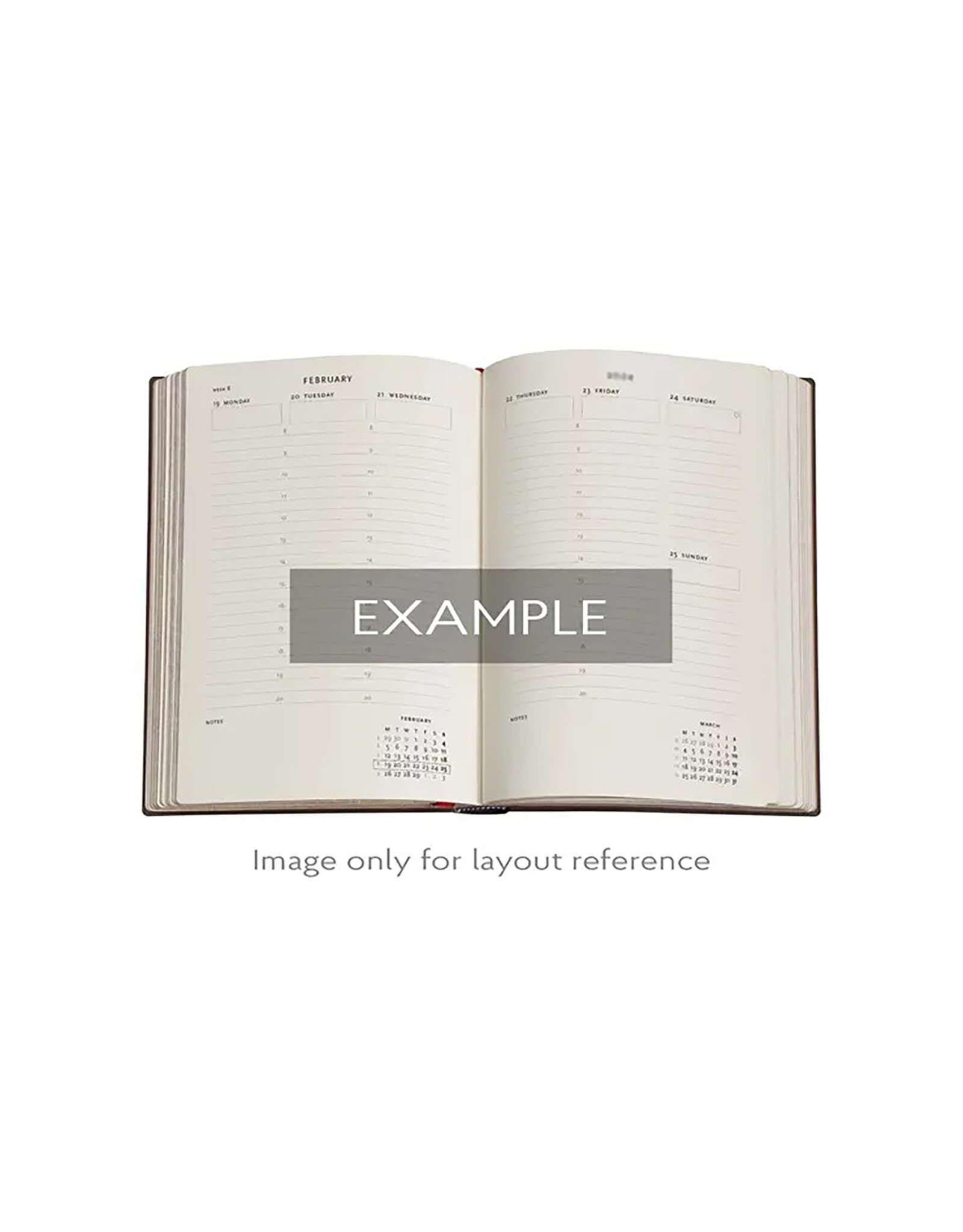 Paperblanks 2026 Anemone 12-Month Hardcover Weekly Planner Midi Vertical