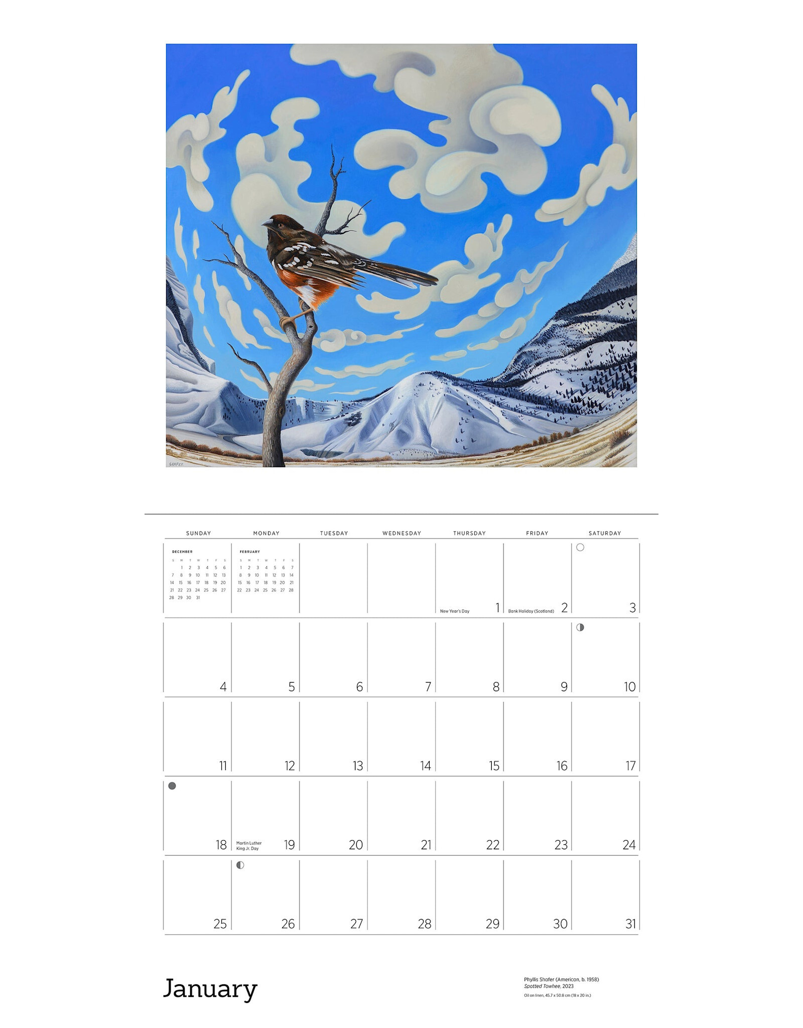 Pomegranate Phyllis Shafer: Nature Divine 2026 Wall Calendar