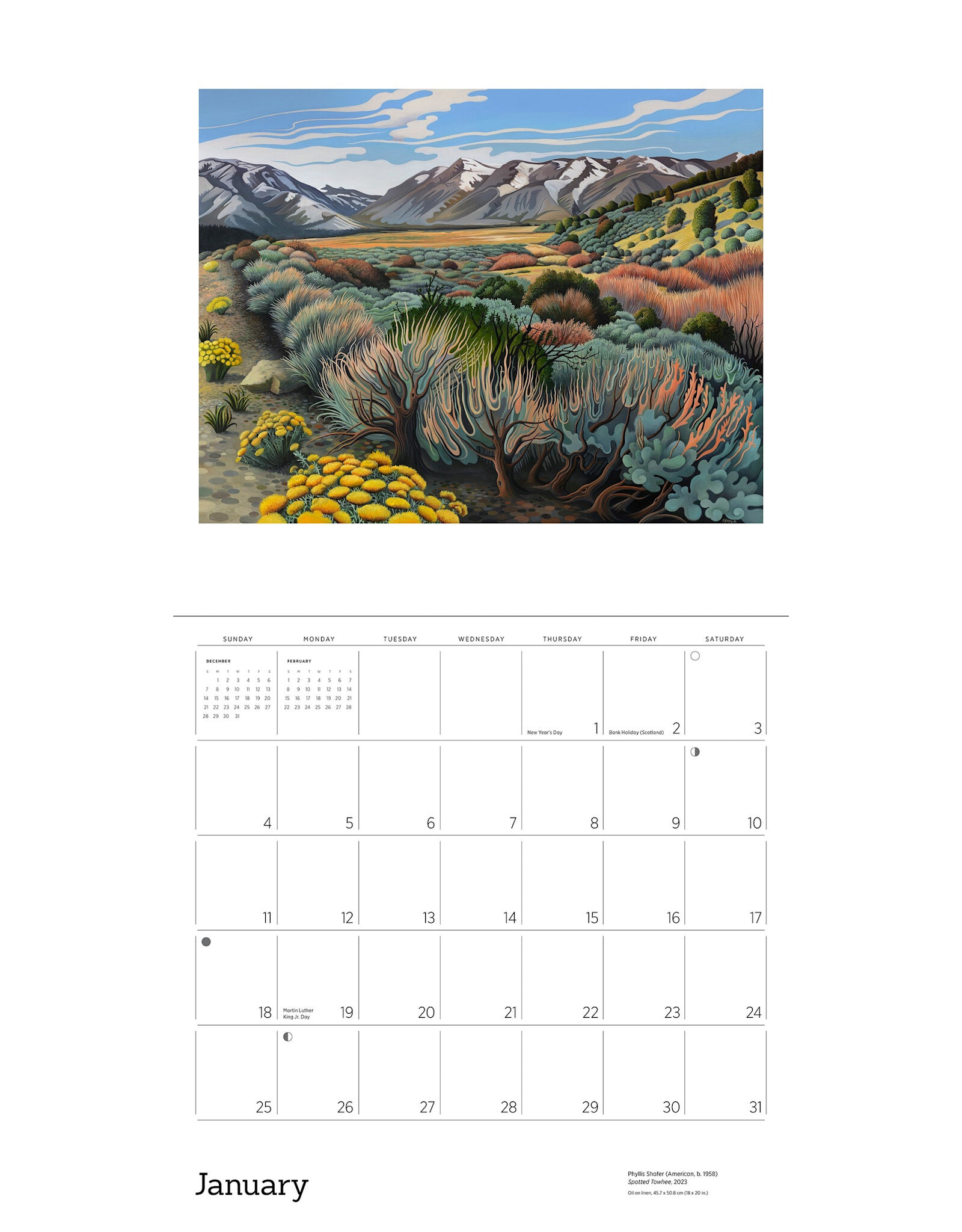 Pomegranate Phyllis Shafer: Nature Divine 2026 Wall Calendar