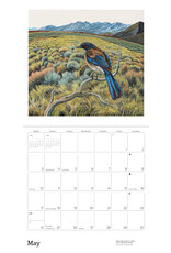 Pomegranate Phyllis Shafer: Nature Divine 2026 Wall Calendar
