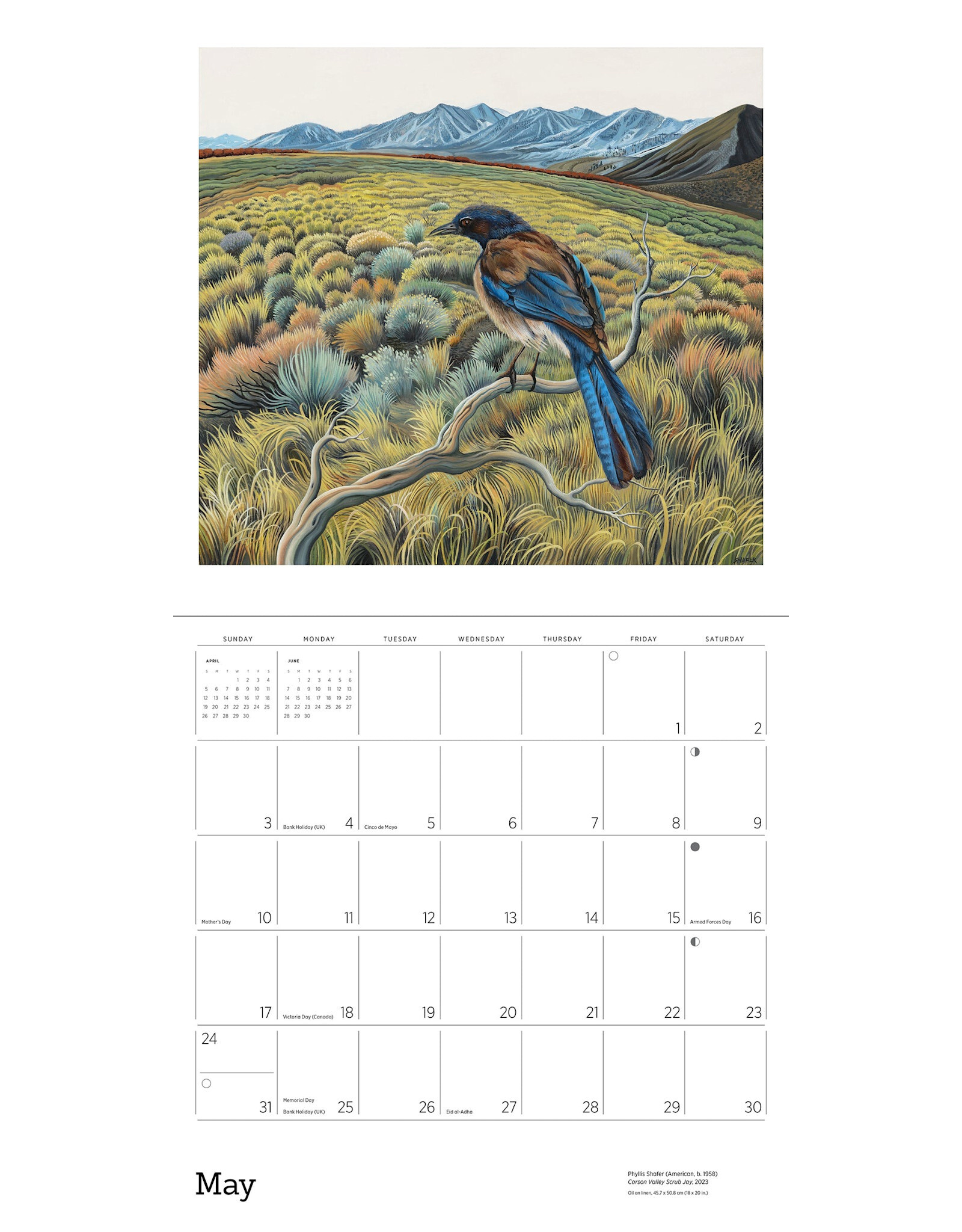 Pomegranate Phyllis Shafer: Nature Divine 2026 Wall Calendar
