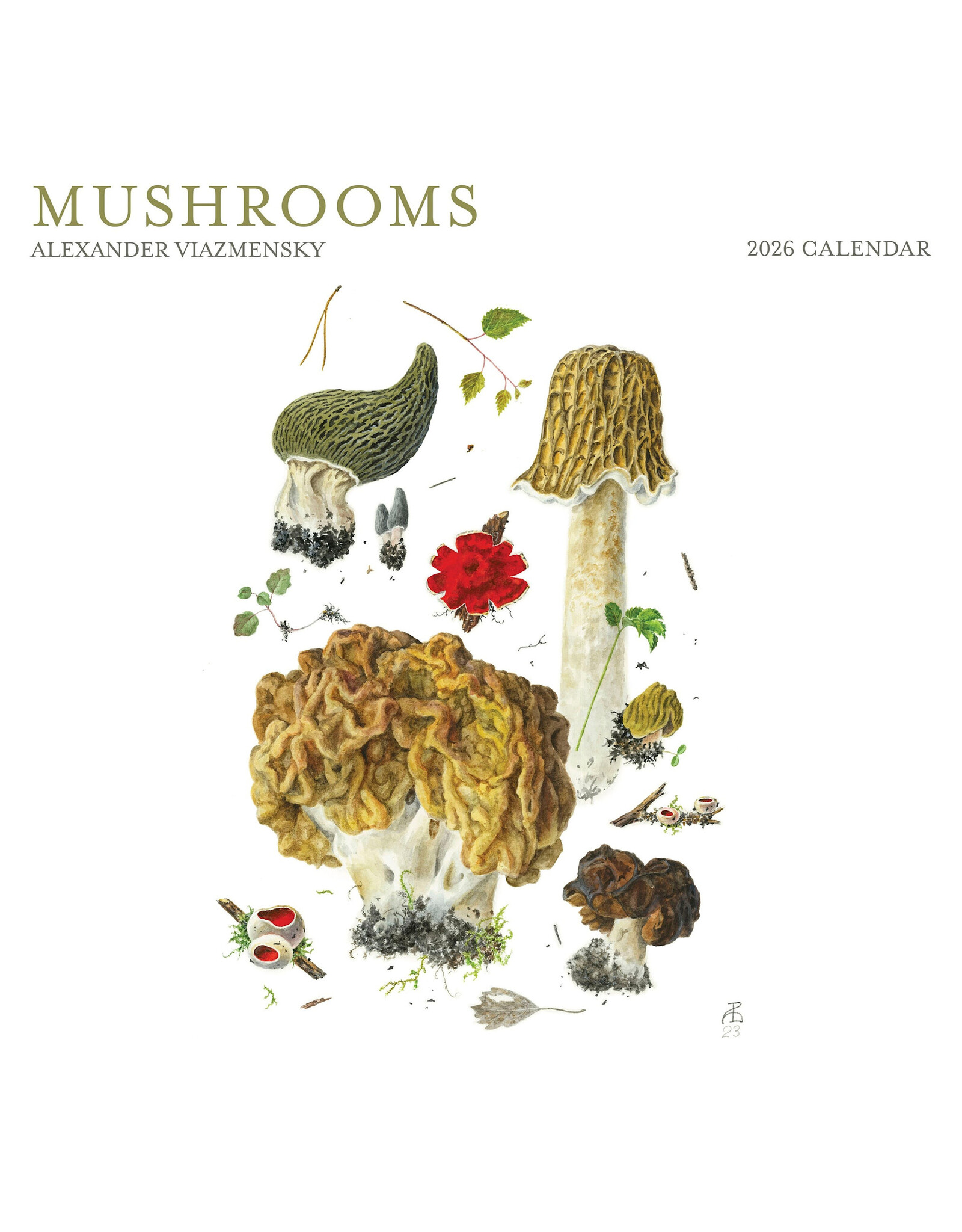 Pomegranate Mushrooms: Alexander Viazmensky 2026 Wall Calendar