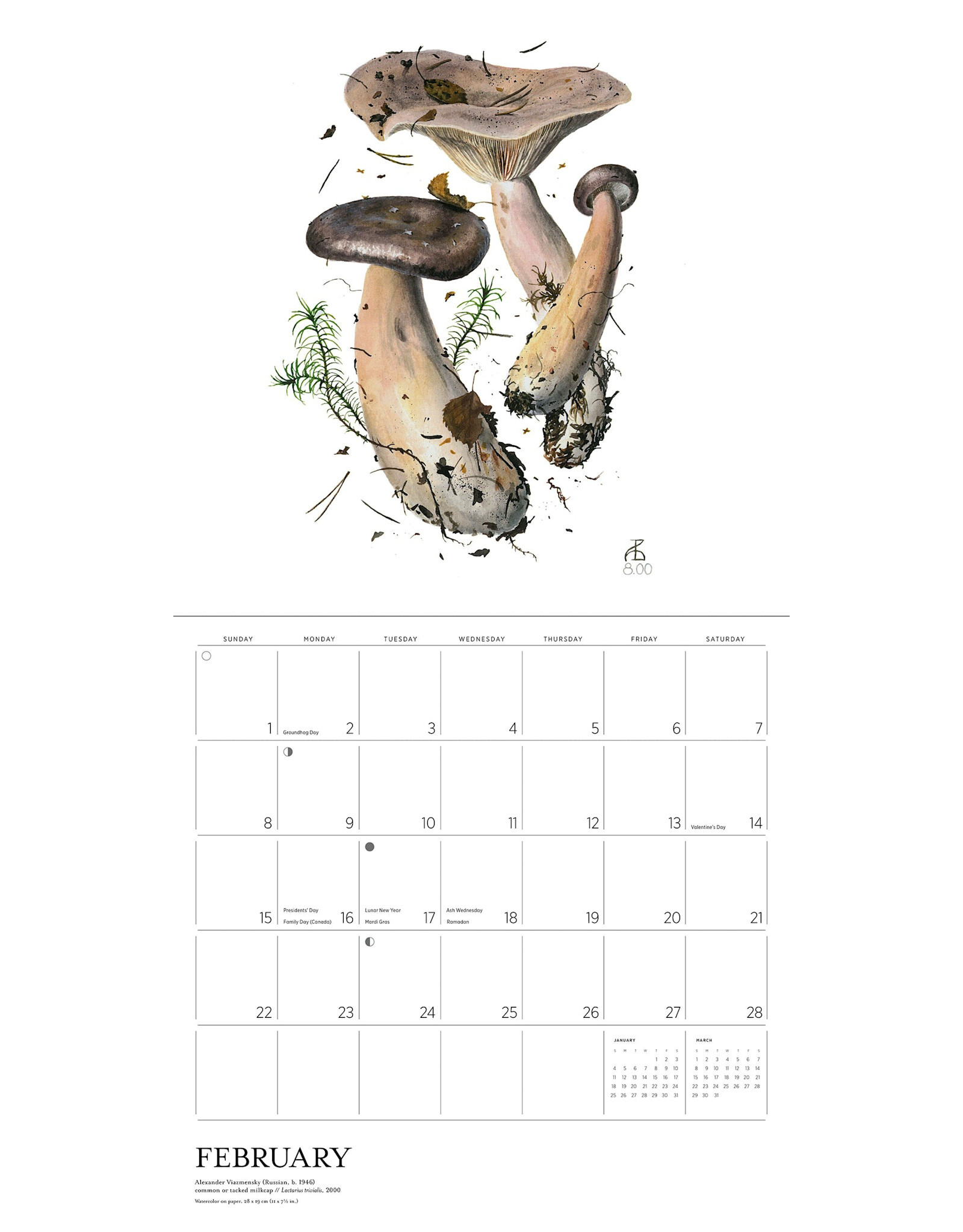 Pomegranate Mushrooms: Alexander Viazmensky 2026 Wall Calendar