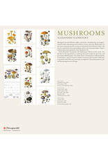 Pomegranate Mushrooms: Alexander Viazmensky 2026 Wall Calendar