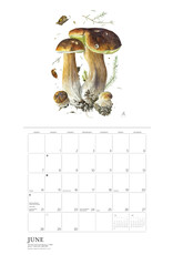 Pomegranate Mushrooms: Alexander Viazmensky 2026 Wall Calendar