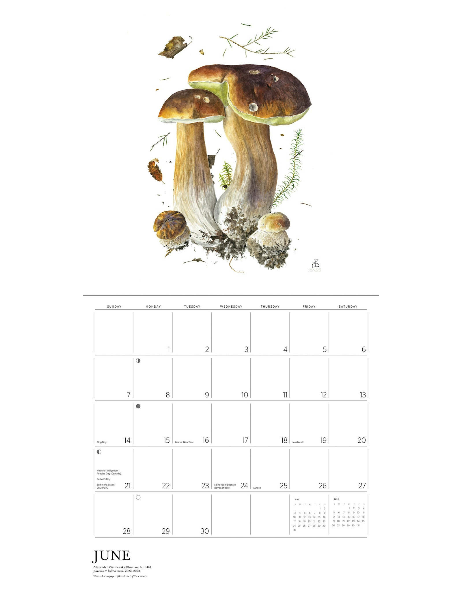 Pomegranate Mushrooms: Alexander Viazmensky 2026 Wall Calendar