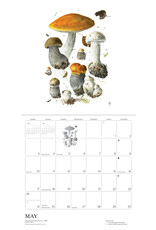 Pomegranate Mushrooms: Alexander Viazmensky 2026 Wall Calendar