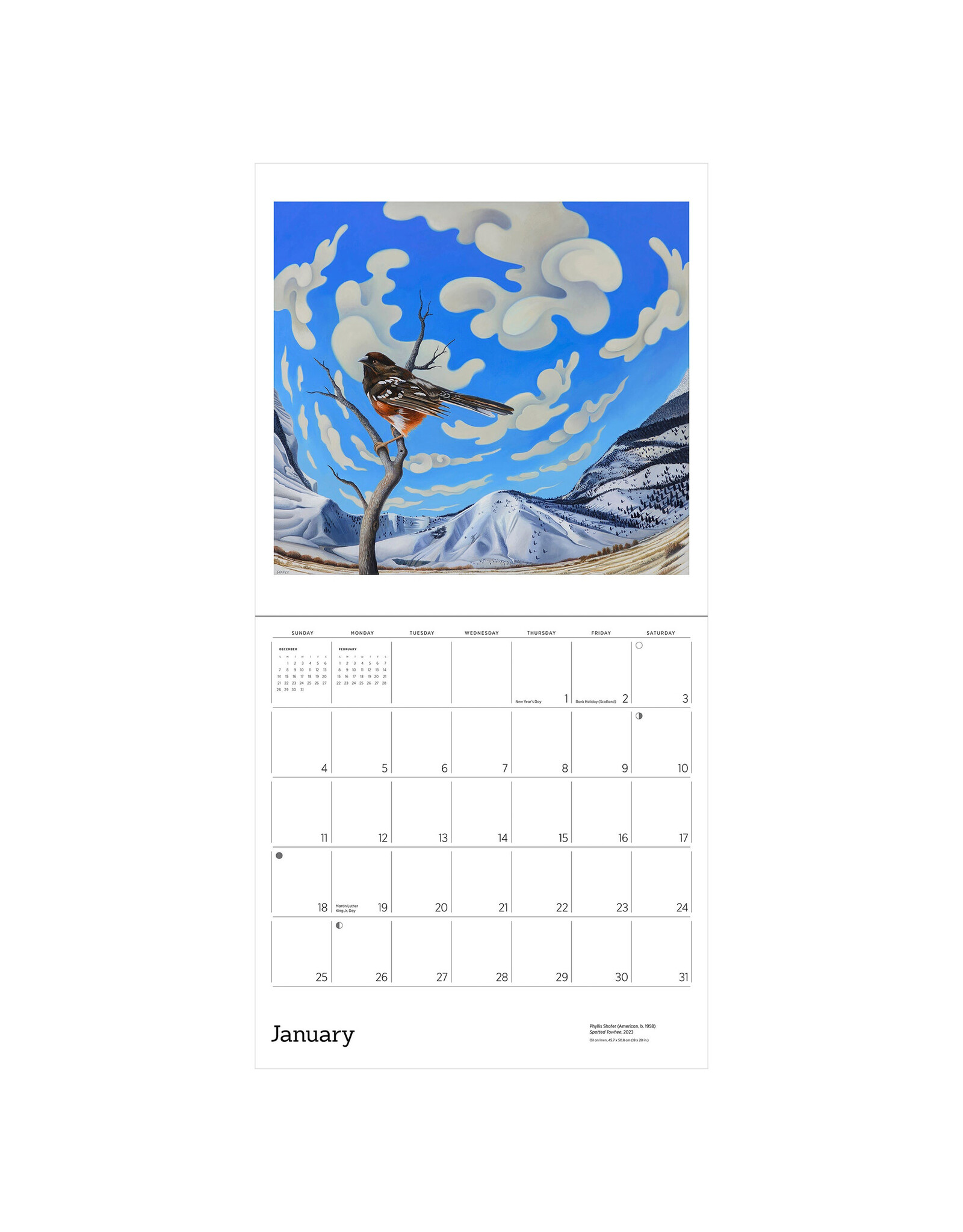 Pomegranate Phyllis Shafer: Nature Divine 2026 Wall Calendar