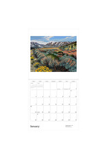 Pomegranate Phyllis Shafer: Nature Divine 2026 Wall Calendar