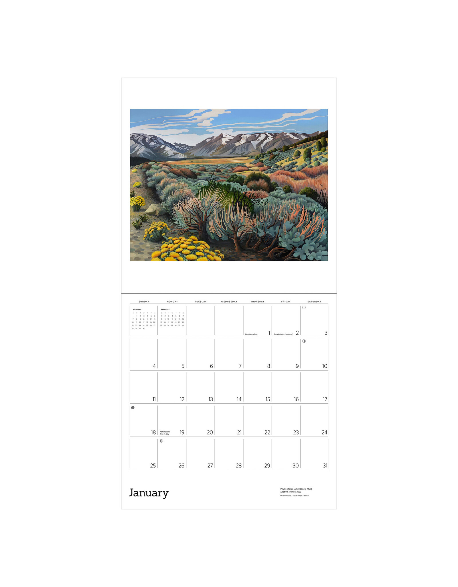 Pomegranate Phyllis Shafer: Nature Divine 2026 Wall Calendar