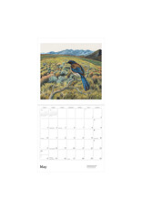 Pomegranate Phyllis Shafer: Nature Divine 2026 Wall Calendar